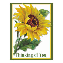 Golden Sunflower Postcards