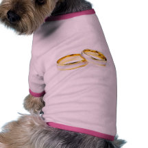 Golden Wedding Rings On White Background Dog Clothing