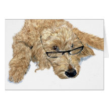Goldendoodle Stella Greeting Cards