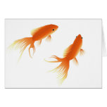GOLDFISH CARD