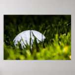 golf ball hiding remix posters