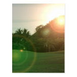 Golf Green Postcard