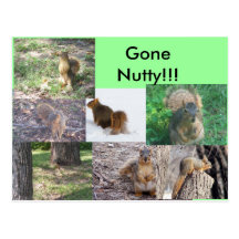 Gone Nuts Postcard!