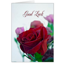 Good Luck card with a red rose