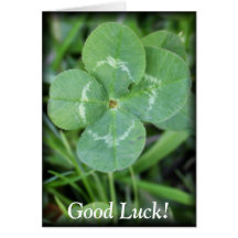Good Luck Four Leaf Clover Greeting Cards