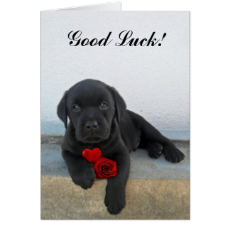 Good Luck Puppy Gifts - T-Shirts, Art, Posters &amp; Other Gift Ideas | Zazzle