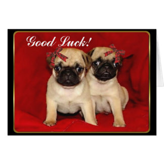 Good Luck Puppy Gifts - T-Shirts, Art, Posters &amp; Other Gift Ideas | Zazzle