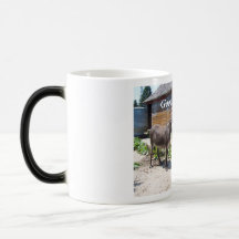 Good Morning! Mugs