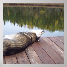 Goofy Husky Print