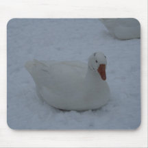goose in the snow mousepads
