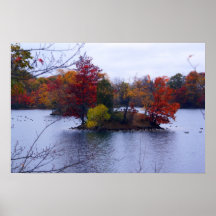 Goose Island Poster