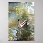 Goose poster