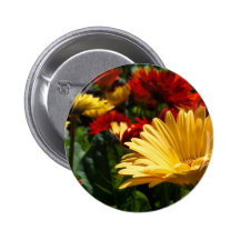 Gorgeous Gerbers Button