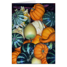 Gorgeous Gourds Card