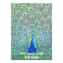 Gorgeous Peacock You're Invited