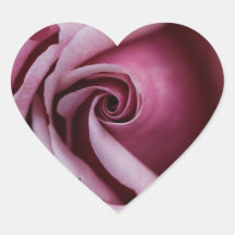 Gorgeous Pink Rose Close Up Photo Heart Sticker