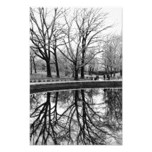Gorgeous Winter Landscape in Central Park Photo