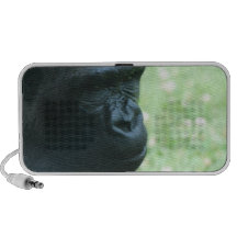 Gorilla Gaze Portable Speakers