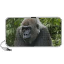 Gorilla Photo iPhone Speakers