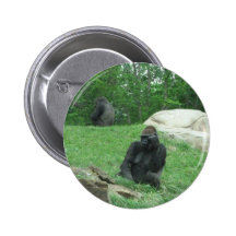 Gorilla pic pins