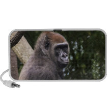 Gorilla Portrait Travelling Speakers