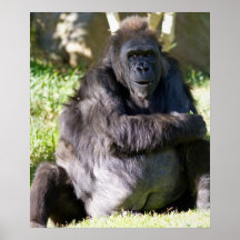 Gorilla Posters