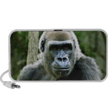 Gorilla Profile Speakers