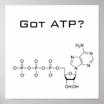 Got ATP? Poster