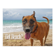 Got Beach? Post Cards