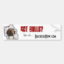 GOT BULLS - Bumped Sticker Bumper Stickers