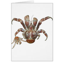 Got Crabs? nice sea crab-dinner time Cards