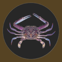 Got Crabs? nice sea crab-dinner time stickers