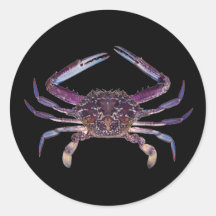Got Crabs? nice sea crab-dinner time Round Stickers