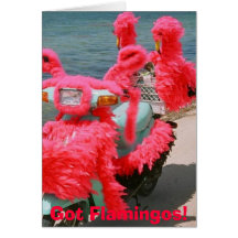 Got Flamingos!,  Greeting Card