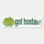 got hostas? bumper sticker