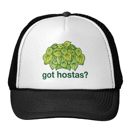 Got Hostas? Mesh Hat