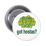 Got Hostas? Pin