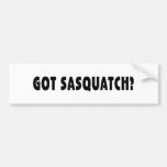 Got Sasquatch? Bumper Stickers