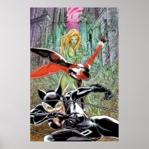 Gotham City Sirens Cv11 Poster