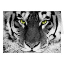 GothicChicz Wild Tiger Card