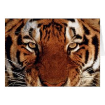 GothicChicz Wild Tiger Card