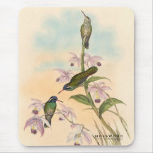 Gould Hummingbirds and Orchids Mouse Mats