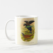Gould - Lesser Superb Bird Of Paradise Promo Coffee Mug