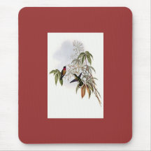 Gould - Ruby-Throated Hummingbird Mouse Pads