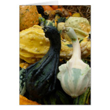Gourds Cards