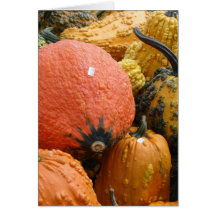 Gourds, Thanksgiving Greeting Card