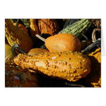 Gourds, Thanksgiving Greeting Card