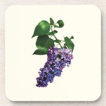 Graceful Purple Lilacs Beverage Coaster