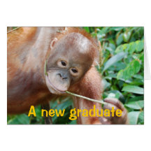 Graduation Humour Greeting Cards