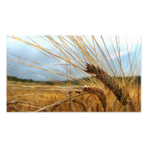 Grain Emporium Business Cards